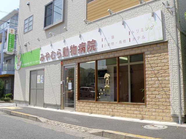 みやむら動物病院