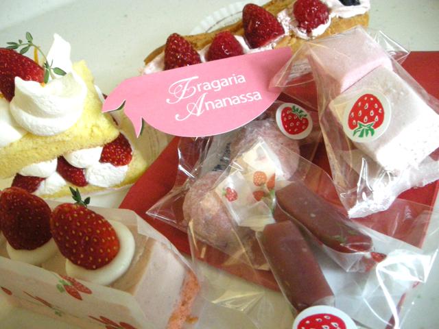 Fragaria × Ananassa