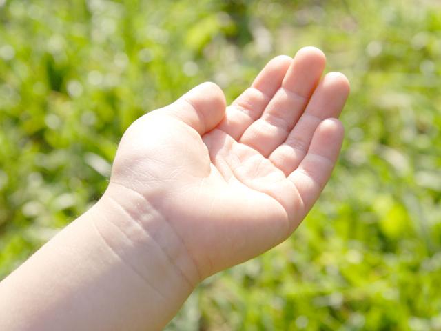 夏のボランティア体験