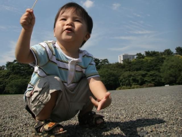 葛西海浜公園「浜辺で遊ぼう！」