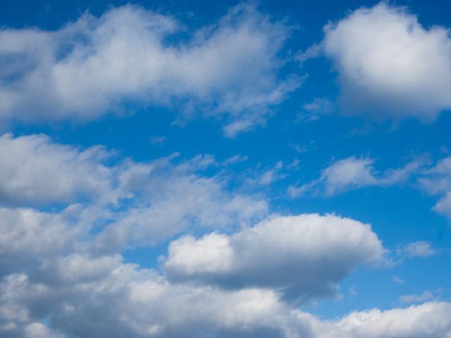 東京海洋大学「海の日」記念行事