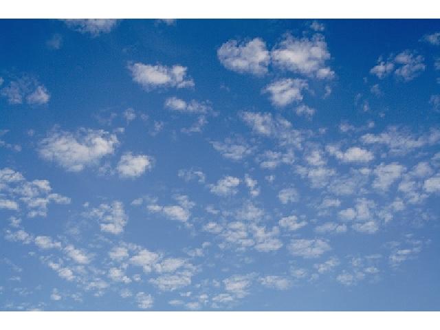 ウオーキングフェスタえどがわ2008