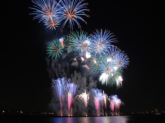 ＜今年の見所＞
