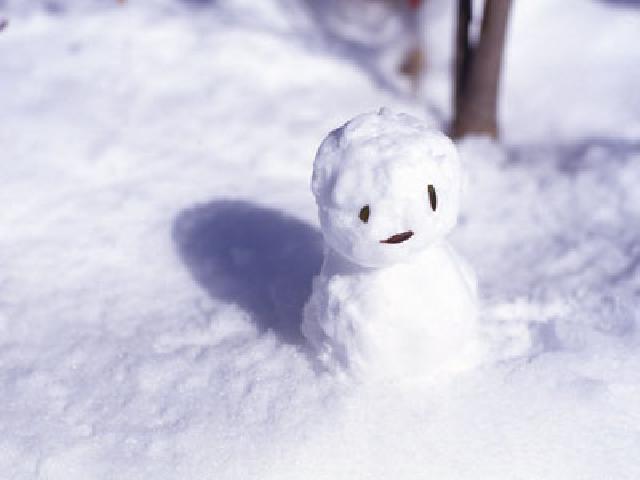 わんぱく雪まつり 今年も開催!