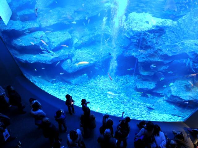 すみだ水族館 GWイベント