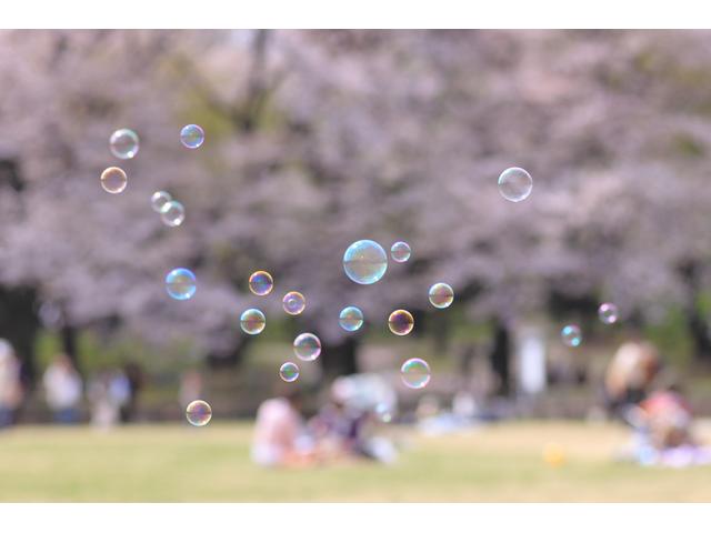 新川千本桜ウオーキング大会 参加者募集