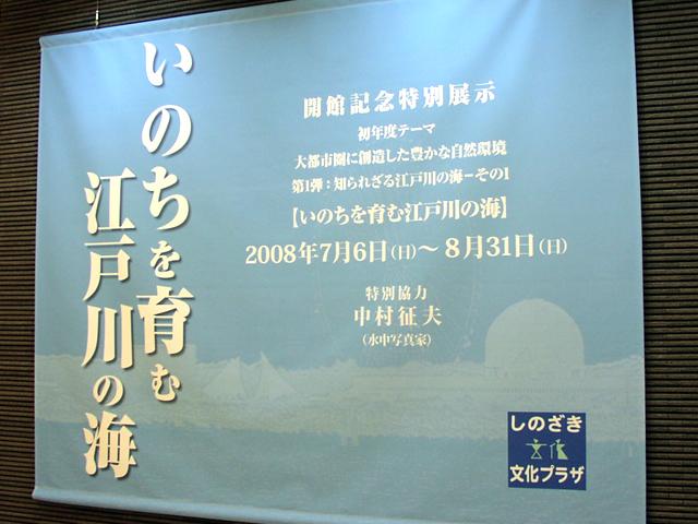 いのちを育む江戸川の海