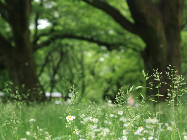 友好都市・山形県鶴岡市 ジュニア交流キャンプ