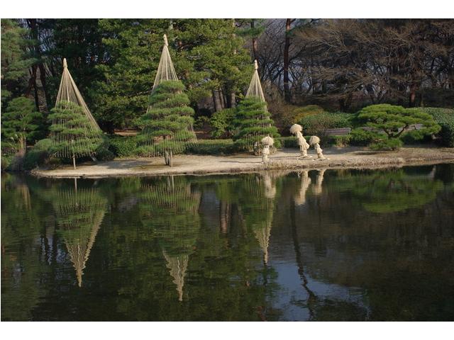 伝統技能見学会「雪吊り」