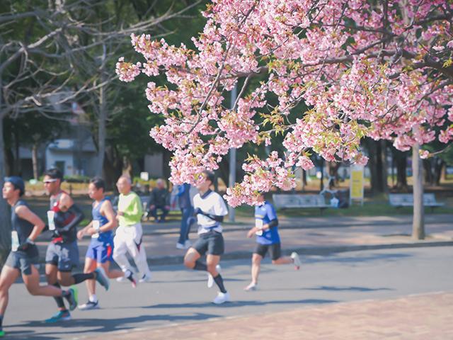 荒川河川敷堀切橋マラソン大会