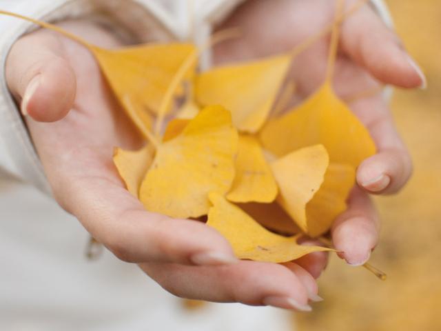 「荒川河川敷の生き物観察」秋の昆虫をみつけよう!