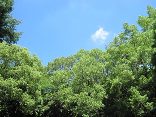 夏休み・こども星空ツアー2013開催 すみだ学習ガーデン