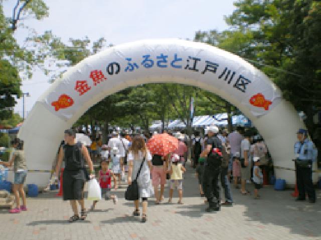 会場・日時