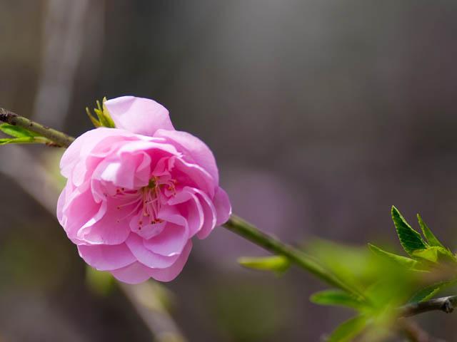 第27回伝統工芸展のご案内