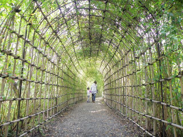 「うつろいの花景色」14日から開催 向島百花園