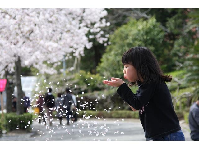 江東区にあるお花見スポットをご紹介！