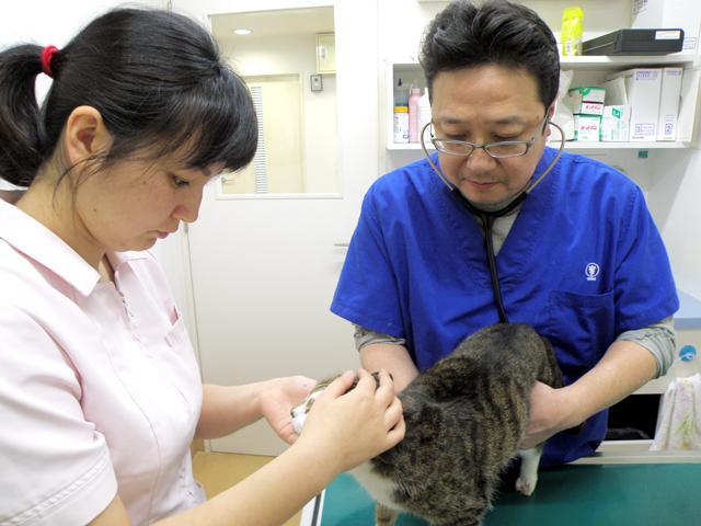 ひらの動物病院