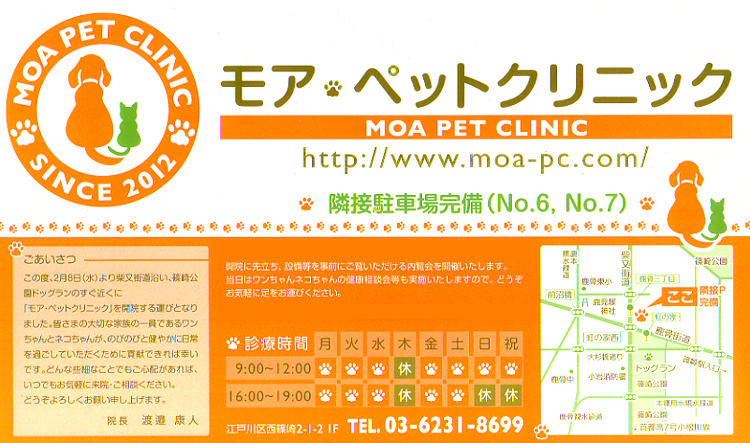 チラシ