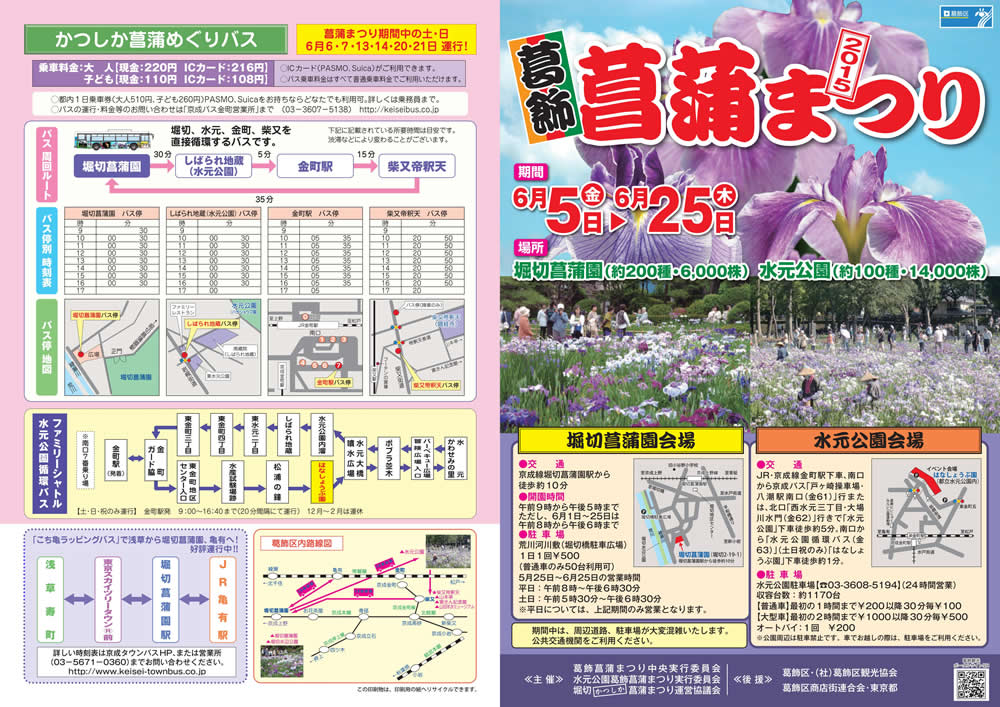 葛飾区の花、「花菖蒲」も見...