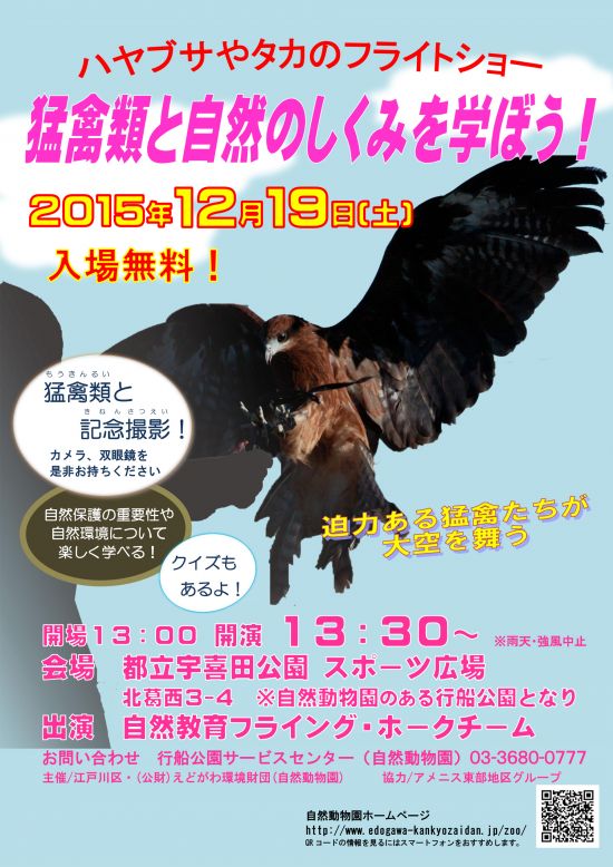ハヤブサやタカのフライトシ...