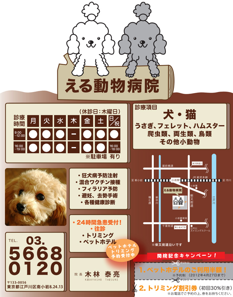 チラシ