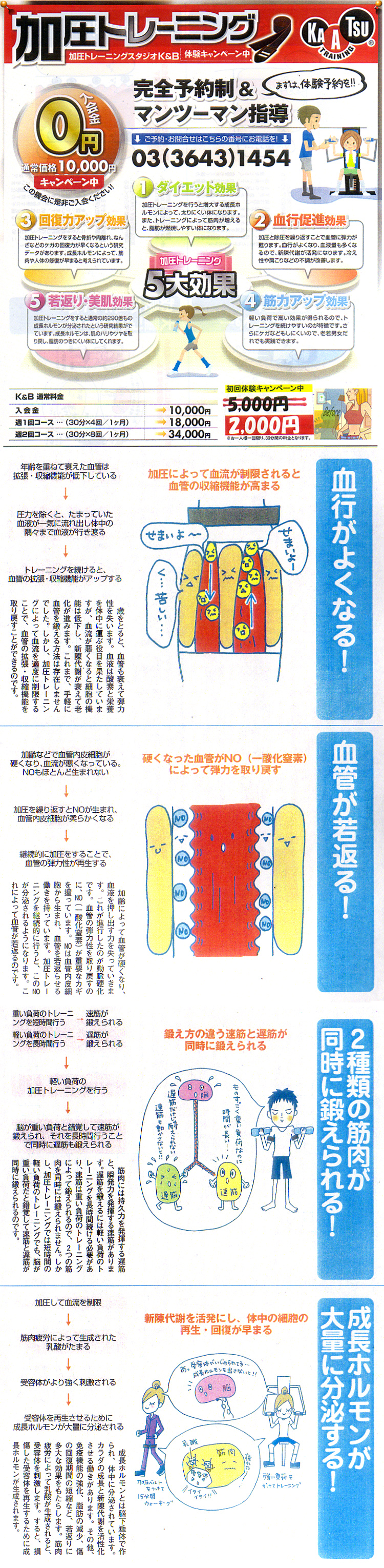 チラシ