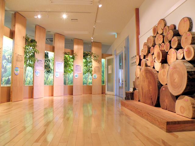 NPO木材合板博物館
