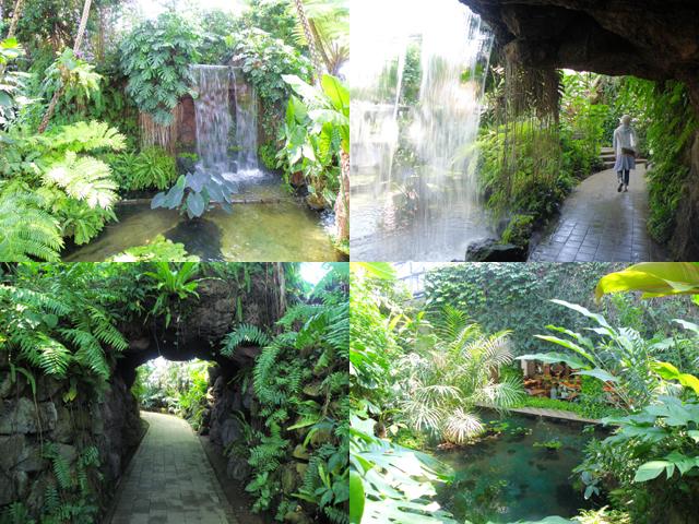 夢の島熱帯植物館 博物館 夢の島 新木場駅 江東区時間