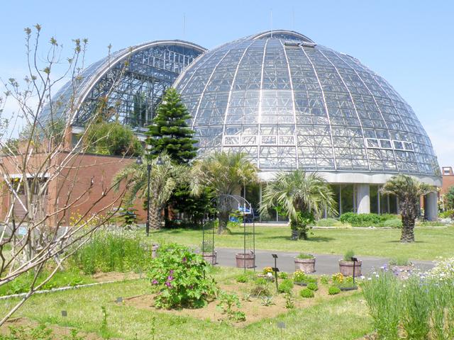 夢の島熱帯植物館